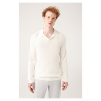 Avva Men's White Buttonless Polo Neck Textured Rayon Regular Fit Knitwear