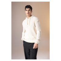 DEFACTO Relax Fit Hooded Thessaloniki Fabric Sweater