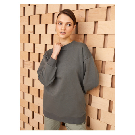 LC Waikiki Crew Neck Plain Long Sleeve Women's Tunic