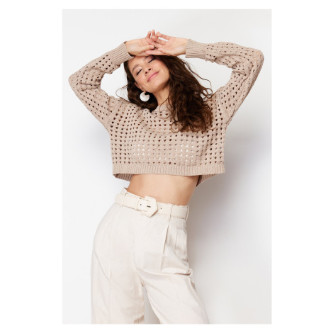 Trendyol Mink Super Crop Openwork/Perforated Knitwear Sweater