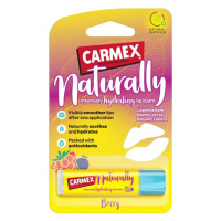 CARMEX Natural Hydratační balzám na rty malina borůvka 4,25 g