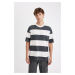 DEFACTO Boxy Fit Crew Neck Striped Short Sleeve T-Shirt