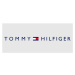 Tommy Hilfiger Billford M Peněženka AM0AM05497