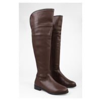 Shoeberry Women's Toon Brown Leather Boots