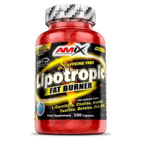 AMIX Lipotropic fat burner 100 kapslí