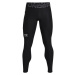 Under Armour UA HG Armour Leggings Pánské legíny US 1361586-001