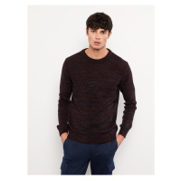 LC Waikiki Crew Neck Long Sleeve Men's Knitwear Sweater