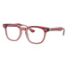 Ray-Ban Junior RY9098V 3960 - L (45)