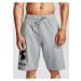 Kraťasy Under Armour UA Rival FLC Big Logo Shorts-GRY