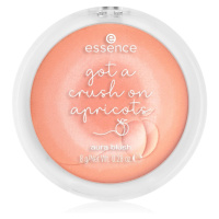 essence got a crush on apricots pudrová tvářenka odstín 01 Abracadapricots 8 g