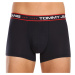 3PACK pánské boxerky Tommy Hilfiger vícebarevné (UM0UM02968 0WF)