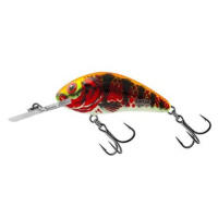 Salmo Wobler Rattlin' Hornet 4,5 cm, 6 g Holo Red Perch