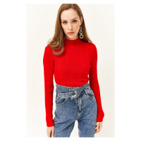 Olalook Women's Red Half Turtleneck Zigzag Textured Soft Knitwear Sweater