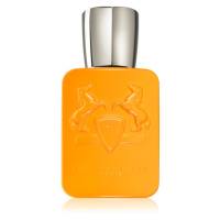 Parfums De Marly Perseus parfémovaná voda pro muže 75 ml
