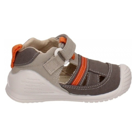 Biomecanics - Šedá