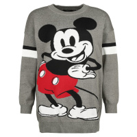 Mickey & Minnie Mouse Svetr Mickey Mouse Pletený svetr šedá