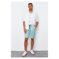 Trendyol Mint Color Regular Shorts