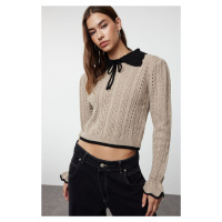 Trendyol Mink Crop Openwork/Hole Ribbon/Bow Detailed Knitwear Sweater