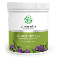 TOPVET Kostivalový masážní gel 250 ml