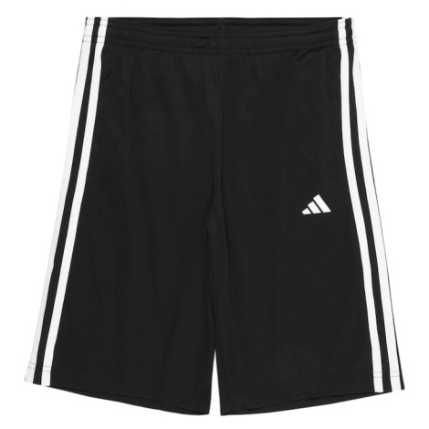 Sportovní kalhoty 'Train Essentials Aeroready 3-Stripes -Fit' Adidas