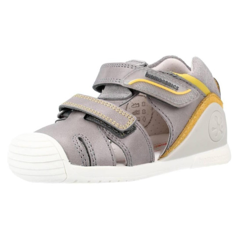 Biomecanics 222142B Šedá