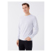 LC Waikiki Crew Neck Long Sleeve Men's Sweatshirt