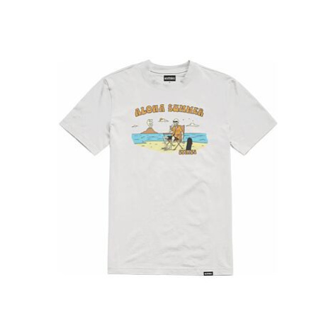 Etnies pánské tričko Aloha Summer White | Bílá