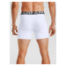 UA Charged Cotton 6in Boxerky 3 ks Under Armour