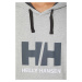 Bavlněná mikina Helly Hansen HH LOGO HOODIE pánská, šedá barva, s kapucí, s aplikací, 33977