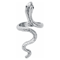 etNox Snake Prsten stríbrná