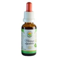 Salvia Paradise Moringa olejodárná AF tinktura 30 ml