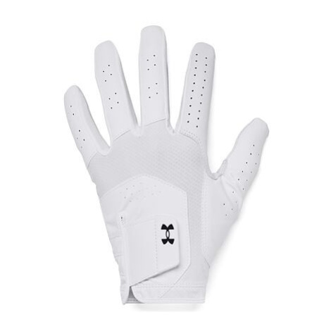 Pánská golfová rukavice Under Armour Iso-Chill Golf Glove
