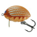 Salmo wobler lil bug floating may fly - 3 cm 4 g