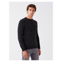 LC Waikiki Crew Neck Long Sleeve Men's Knitwear Sweater