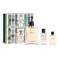 Hermes Terre D´ Hermes - EDT 100 ml + voda po holení 40 ml + EDT 12,5 ml