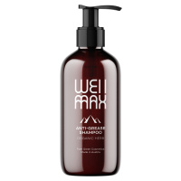 WellMax Šampon pro mastné vlasy, 250 ml
