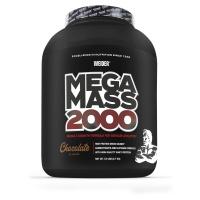 Weider Mega Mass 2000, 2700 g, sacharidovo-proteinový prášek Varianta: