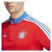 FC Bayern pánská tréninková mikina HU1280 - Adidas