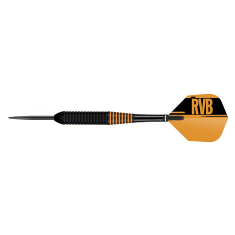 Šipky Target steel Raymond van Barneveld 22g, RVB, černé, BRASS