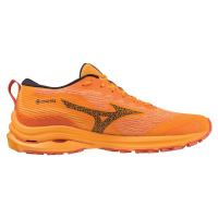 Mizuno Wave Rider Gtx