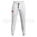 Under Armour Rival FC Signature JGR M - grey