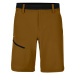 Pánské kraťasy Salewa Puez 3 DST M Shorts Golden Brown M