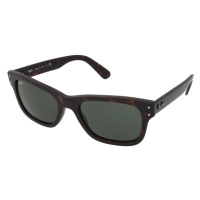 Ray-Ban Mr Burbank RB2283 902/31