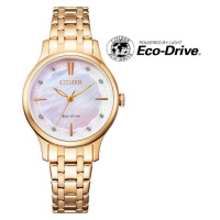 Citizen Elegance Eco-Drive EM0893-87Y