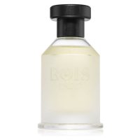 Bois 1920 Classic 1920 parfémovaná voda unisex 100 ml
