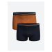 LC Waikiki Standard Mold Cotton Flexible Men's Boxer 2-Pack