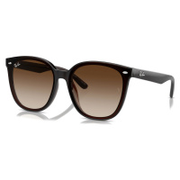 Ray-Ban RB4423D 714/13 - M (66-15-145)