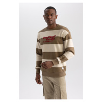 DEFACTO Boxy Fit Crew Neck Striped Printed Sweatshirt