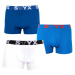 3PACK pánské boxerky Styx sportovní guma nadrozměr vícebarevné (R9676861)