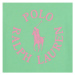 Polo Ralph Lauren SS GRAPHIC T-KNIT SHIRTS-T-SHIRT Zelená